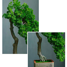 YXIANG56Q Fake Plants Grade Simulation Welcome to Tree Tree Bonsai Hotel Office Tea Several Live Hall Extreme Decoration Beautiful Items Bonsai Tree(E)