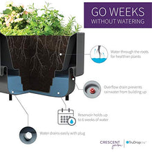 TruDrop Nest Self-Watering Raised Garden-Bed, Elevated Planter Box for Edible Gardening, Tomatoes, Herbs Planter - 18'' x 36'' (Alpine White)