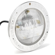 Pentair EC-601307 Lights White