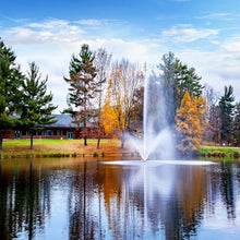 Scott Aerator Skyward Fountain 1 HP 115V Pond Aerator