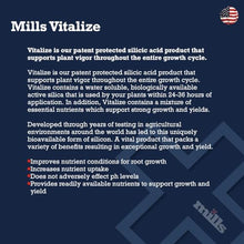 Mills Vitalize Silicic Acid Plant Supplement, Supports Plant Vigor, Nutrient Uptake and Growth Throughout the Entire Growth Cycle, 5L