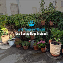 Sandbaggy Large Burlap Bags 18" x 30" for Planting/Gardening (Pack of 500)
