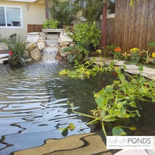 HALF OFF PONDS Simply Ponds 2100 Water Garden and Pond Kit with 15 Foot x 15 Foot EPDM Liner - XSH1