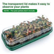 1pcs Gardening Home Decoration Fleshy Nursery Tray Three-Color 10-Hole Can Be Placed Nursery Block Flip Nursery Box (Color : Black) (White)