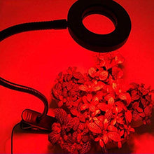 Plant Growth lamp Three-led led Plant lamp USB gooseneck lamp Indoor Bonsai Succulent Flower 5V Clip Fill Light LED Grow Light Full Spectrum Flexible Timing Dimmable Clip Phyto