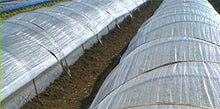 DIO-Betalon 78" x 328' DT-650 PVA Agricultural Floating Row Cover Natural