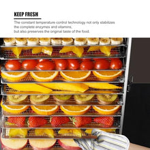Yokoma Food Dehydrator 36 Layers for Fruits, Vegetables, and Pet Treats