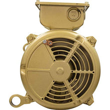 Pentair 357204S 7-1/2 HP Single Phase Motor Replacement Pump
