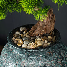 FAFACAI Small Bonsai 1 PC Welcome Pine Bonsai Desktop Decoration Living Room Home Dector Fake Tree Green Potted Plant Ornaments Scenery Fake Plant Greenery Decor for Desk (Color : E) (G)