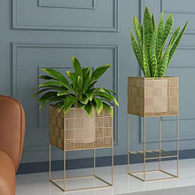 RWGOVLU Light Luxury Wrought Iron Living Room Flower Stand Floor-to-Ceiling Home Balcony Indoor Flower Stand Shelf Green Dill TV Next to The Potted Plant Stand, 52cm, Gold