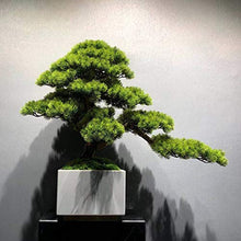 ntumLeap Faux Plants Simulation Welcome Pine Bonsai New Chinese Podocarpus Green Plants Landscaping Living Room Home Porch Decoration Decoration Gifts Artificial Potted Plants