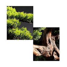 Artificial Trees Artificial Bonsai Tree，23 Inches Faux Vase Bonsai Pine， Fake Tree Bonsai Plant for Decoration Desktop Display Simulated Pine