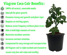Viagrow Coconut Soilless Grow Media 11 lb 5KG Block