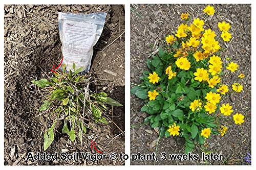 Soil Vigor Potassium Super Absorbent Polymer 45 Pounds