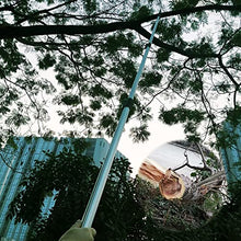 Telescopic Pole Saw Extendable Landscaping Pole Saw with Curved Tree Saw for Pruning Branches and Leavhigh Altitude Fruit Tree Branch Saw,5.4m/18FT
