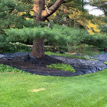 Dewitt 2 Pack P6 Pro 5 5oz 6' x 250' Landscape Weed Barrier Ground Fabric and 6 Inch U-Shaped Rounded Top Anchor Pins for Landscaping, 400 Count