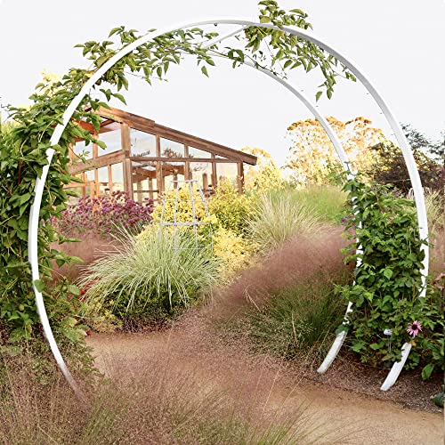 TERRA TRELLIS Gracie Modern Arbor Moongate for Outdoor Plants | Garden Arch Climbing Vines Trellis | Modern, Steel & Durable Metal Round | Regular (Cloud)