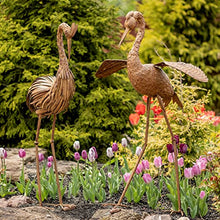 Zaer Ltd. Set of 2, Pair of Large Metal Dancing Herons in a Distressed Painted Finish (Set of 2 - Open Wings and Puffy Feathers, Aged Brown)