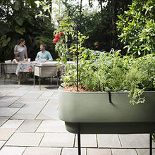 TruDrop Nest Self-Watering Raised Garden-Bed, Elevated Planter Box for Edible Gardening, Tomatoes, Herbs Planter - 18'' x 36'' (Alpine White)