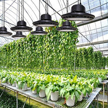 Plant Light High Power Lighting Growing Lamps Highlight Waterproof IP66 100W Grow Lights Suitable for Hydroponic Greenhouse Garden