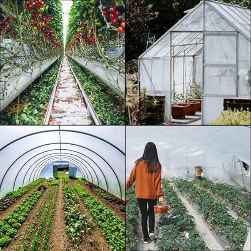 Farm Plastic Supply Clear 6 Mil Vapor Barrier Greenhouse Plastic Sheeting 40' x 120'