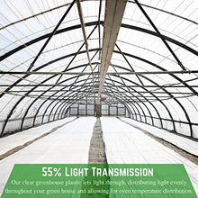 Farm Plastic Supply White Greenhouse Plastic Sheeting 6 mil 32' x 100'