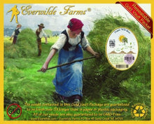 Everwilde Farms - 1 Lb Prairie Wild Rose Native Wildflower Seeds - Gold Vault