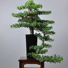 DUYHBAWRS Bonsai Plant Simulation Sample Room Root Carving Creative Welcome Pine Bonsai Decoration