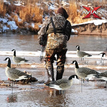 Avian-X AXP Honkers Fusion Pack Lesser Canada Goose Decoys 2 Pack