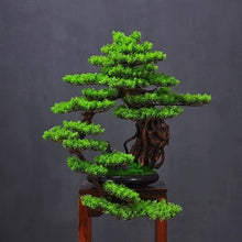 QWERAXZG Pine Bonsai Sales Office Hotel Landscape Green Plant Fake Tree Landscaping Pieces