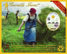 Everwilde Farms - 1 Lb Reed Manna Grass Native Grass Seeds - Gold Vault