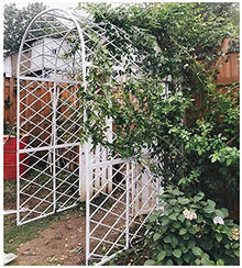 IBOWZ Metal Garden Arch Garden or Wedding Arch Arbor, Decorative Metal Garden Arbor, Heavy Duty Garden Arch, Easy to Assemble, Backyard, Garden, Bridal Party & Wedding Decoration,White, Black