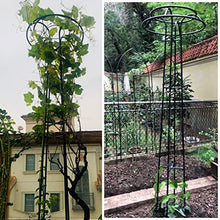SDdPulse Large Garden Obelisk Climbing Plant Support Frame, Outdoor PatioGarden Arbor for Various Climbing Plant Lawn Backyard, 55 * 205cm