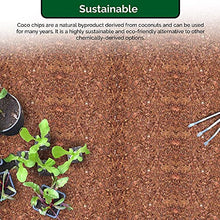 UBICON Organic Coco Coir Top Soil for Indoor/Outdoor Plants, 4 Bricks Expand to 10 Gallons