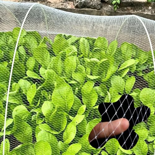 Fine-mesh Agricultural Fruit Tree Bird-Proof Netting for Tomato Plants