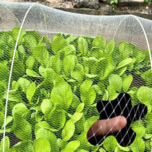 Fine-mesh Agricultural Fruit Tree Bird-Proof Netting for Tomato Plants