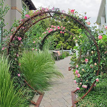 TERRA TRELLIS Gracie Modern Arbor Moongate for Outdoor Plants | Garden Arch Climbing Vines Trellis | Modern, Steel & Durable Metal Round | Regular (Oxide)