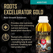 House & Garden Roots Excelurator 1 L & Shooting Powder 65 G Sachet Kit