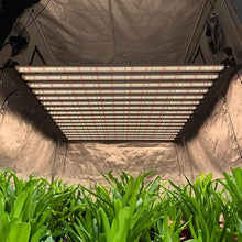 Green Light Innovations 16 Bar Full Spectrum Grow Light, 3030 SMD LED Chips, Replaces 2,000W HPS Full Spectrum 380-780nm