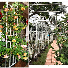 Garden Arch Rose Arch,Weather Resistant Trellis Arch,Trellis Support Pergola Rose Arch Support Grid Arch Metal,Garden Arbor Archway for Climbing Plants,Lawn Garden,Wedding Arch,Black