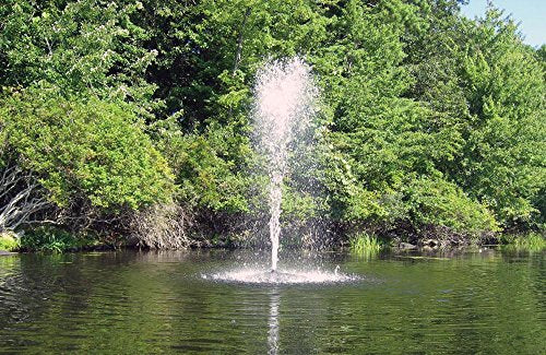 Fawn Lake Fountains Pond Fountain, 7 Different Patterns, Powerful 1/2 HP Pump, Energy Efficient, Perfect Fountain for Small to Medium Sized Pond, 100ft of Underwater Power Cord With Standard 110v Plug