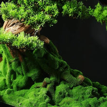 QWERAXZG Simulation Welcome Pine Living Room Office Decoration Green Plant Sales Department