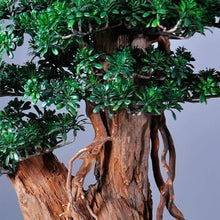 MVUYO Bonsai Indoor Simulation of Green Plant Potted Living Room Floor Housewarming Gift Decoration