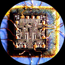 AmScope Digital Trinocular Stereo Zoom Microscope 3.5X-90X White