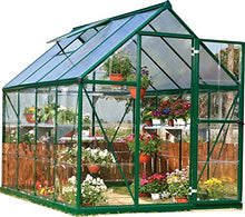 Palram Canopia Hybrid Greenhouse 6' x 8' Forest Green