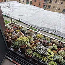 Clear Waterproof Cover Tarp 7x9m, Clear Tarps Heavy Duty with Grommets, Thicken Transparent Waterproof Tarpaulin, Plant Cover Insulation Shed Cloth, for Greenhouse Plant Cover