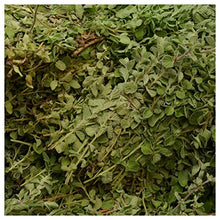Everwilde Farms - 1 Oz Organic Israeli Oregano Herb Seeds - Gold Vault Packet