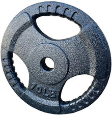 French Fitness Standard Cast Iron 1" Weight Plate Set 450 lbs (New)