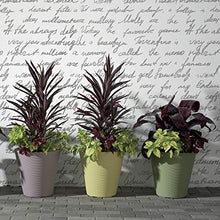 Crescent Garden Madison Planter Double-Walled Plant Pot 34-Inch Mocha