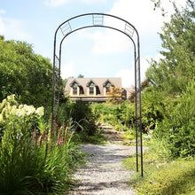 Monet Arbor
